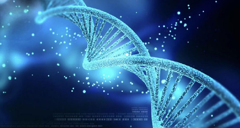UV-C žiarenie ničí baktérie a vírusy.
