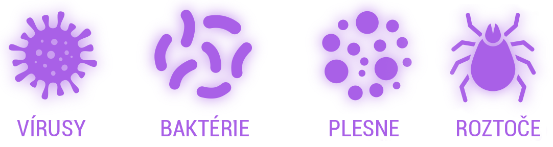 UV-C žiarenie efektívne a ekologicky ničí vírusy, baktérie, spóry, huby, plesne a roztoče.